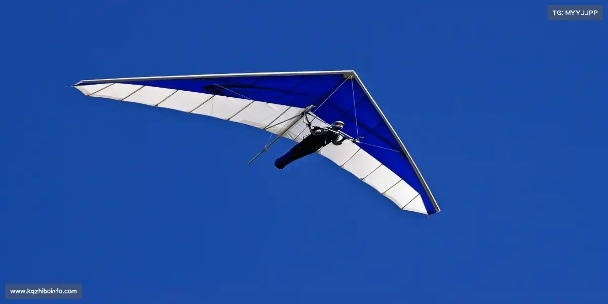 看球体育直播——🥊拳力以赴!释放压力,格斗课程点燃你的斗志🔥